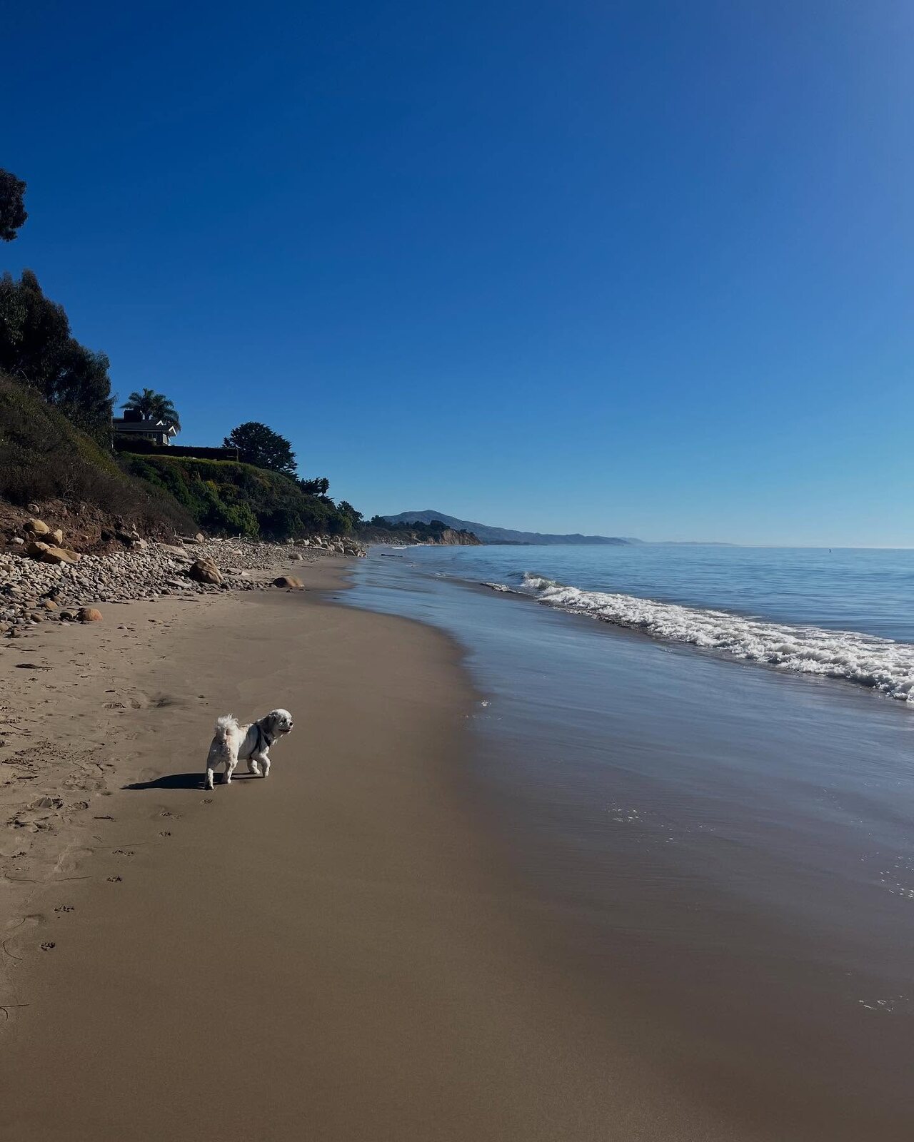 Summerland Cottage photo